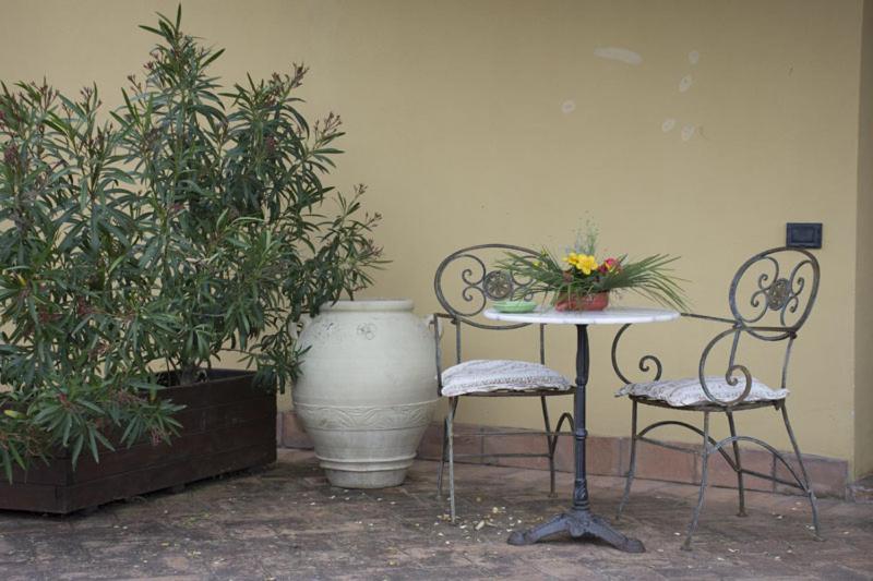 A garden outside Agriturismo Scuderie della Contea