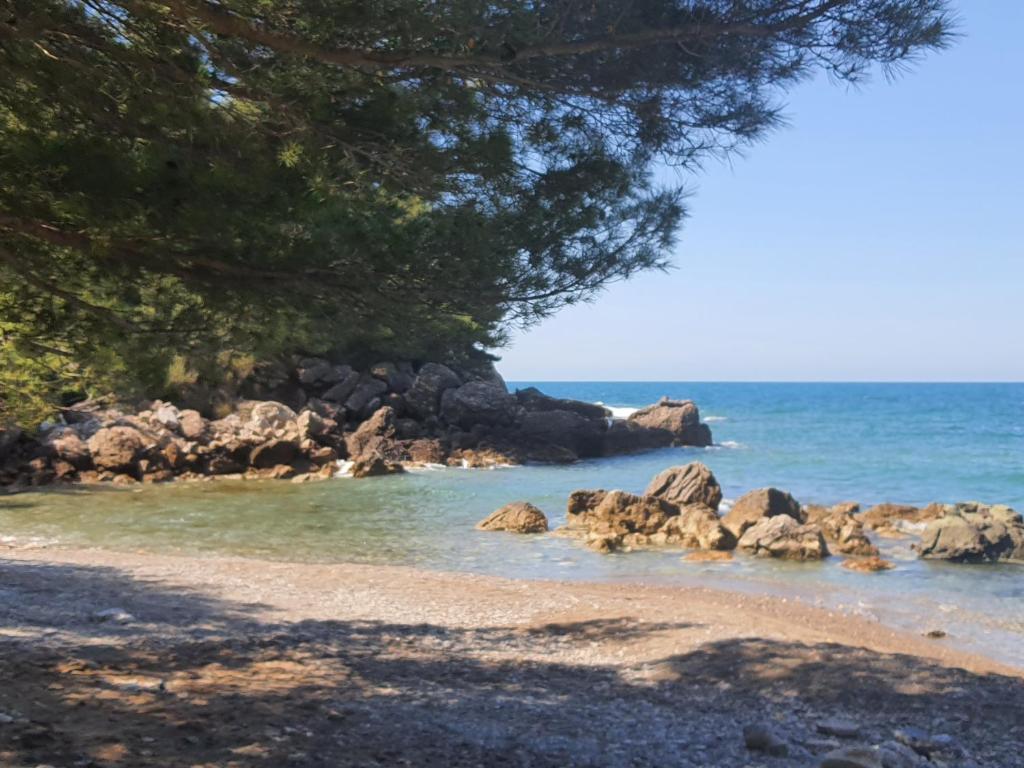 Příroda nedaleko aparthotelu