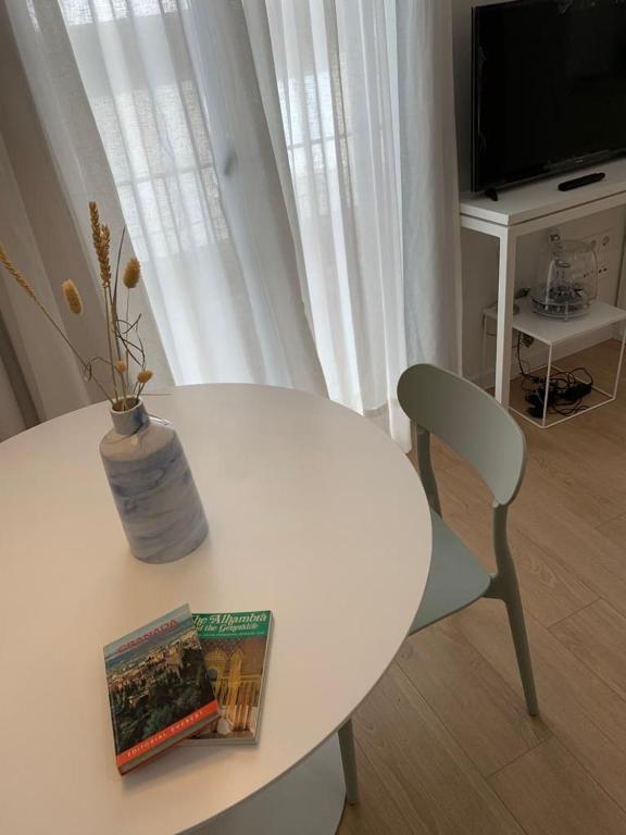 TV a/nebo společenská místnost v ubytování Apartamento Botánico, Centro de Granada