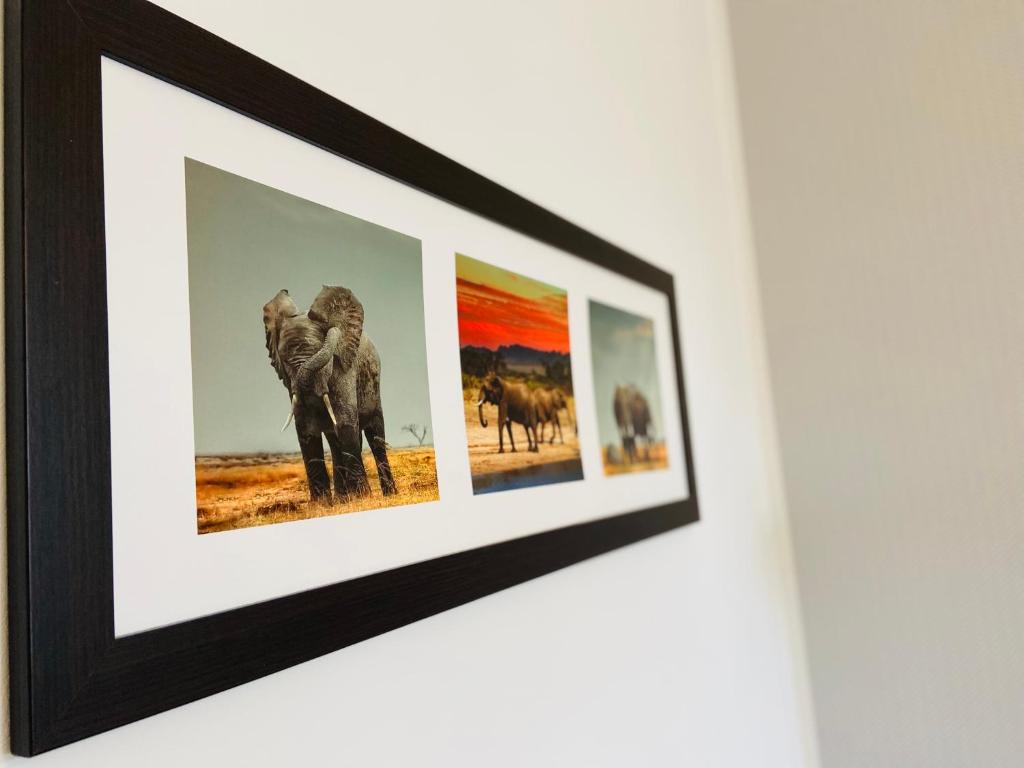 Fotografia z galérie ubytovania Luxodonta Apartment v Krakove