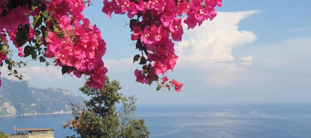 Casa Grace Amalfi - seaview - One-Bedroom House