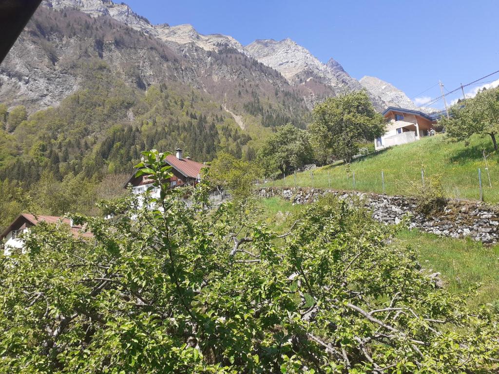 widok na góry z domem i drzewami w obiekcie Gîte dans hameau w mieście Ugine