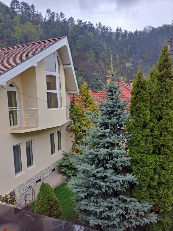 a large christmas tree in front of a house at Pensiunea Irina in Tilişca