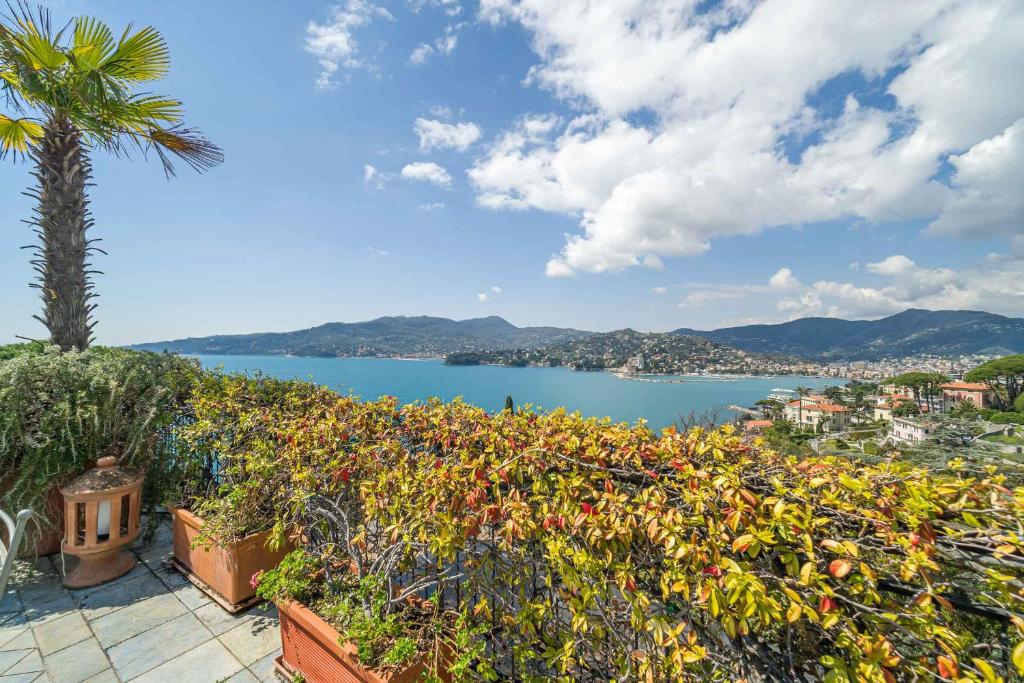 Kép Aurelia Panoramic Seaside Apartment szállásáról Zoagliban a galériában