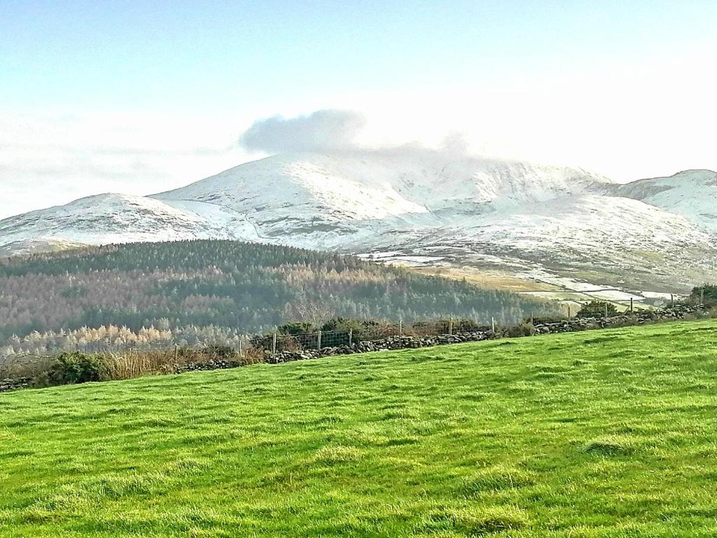 Tollymore Luxury log cabins