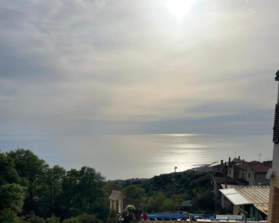 Buonvicino