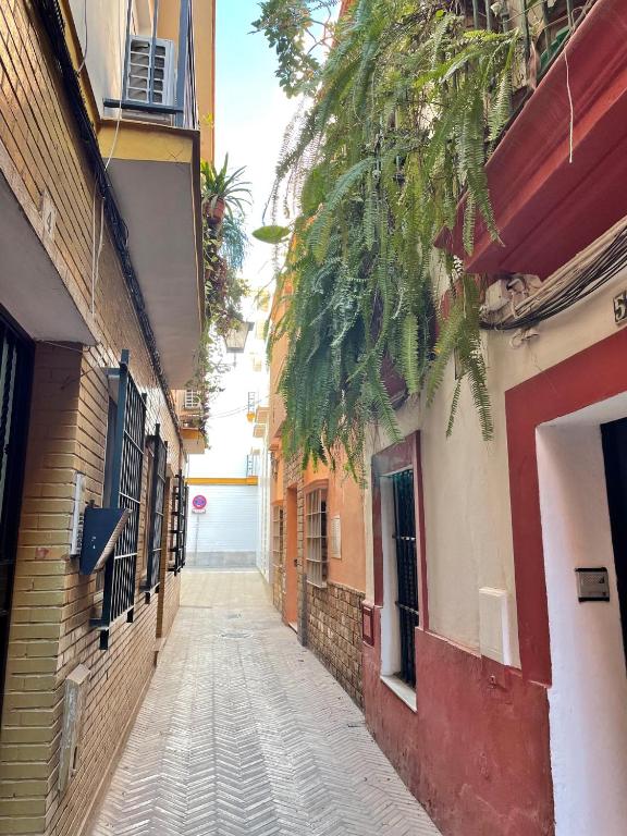 Barrio de Santa Cruz, La Judería. Zona Inmejorable, Seville ...
