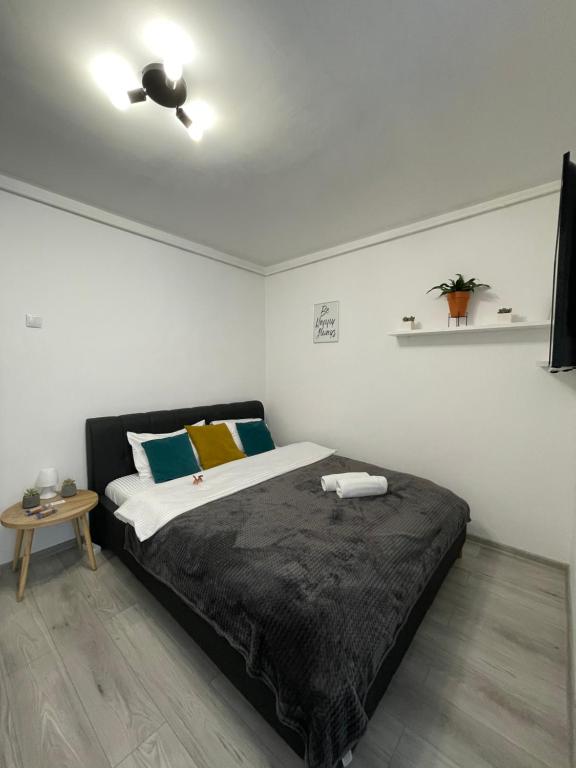 Cozy Studio Apartament Zalau في زالاو: غرفة نوم بسرير ومروحة سقف