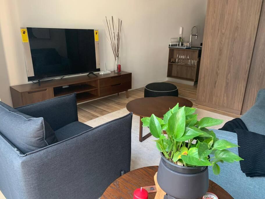una sala de estar con sofás, TV y una planta en Nuevo y lujoso depto con amenidades Nuevo Polanco, en Ciudad de México