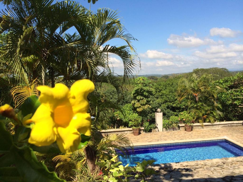 a yellow toy duck sitting next to a swimming pool at Architectural home, Pool and High Speed Internet in Puntarenas