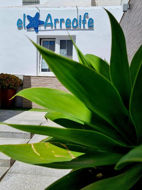 Certifikát, hodnocení, plakát nebo jiný dokument vystavený v ubytování Apartamentos El Arrecife