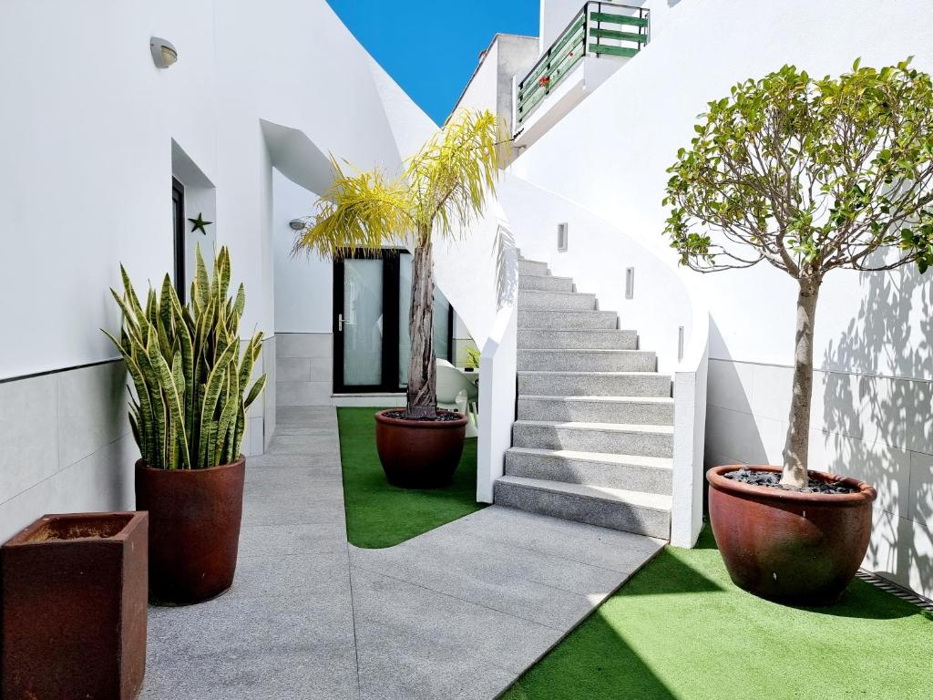 Zahrada ubytování Apartamentos El Arrecife