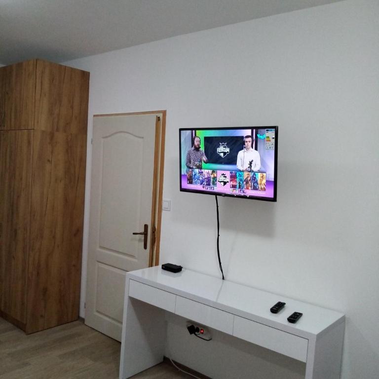 TV a/nebo společenská místnost v ubytování Apartman Petrovic