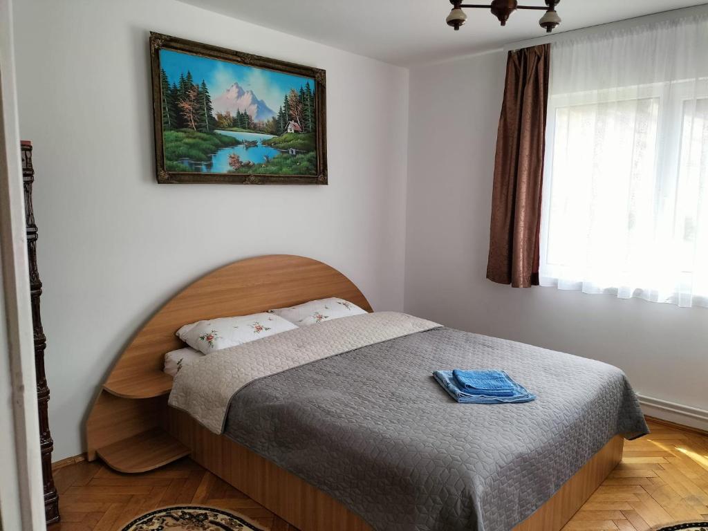 a bedroom with a bed with a picture on the wall at Casa Alba in Fundata