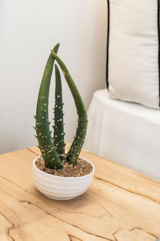 She Mykonos - Luxury Apartments - 10