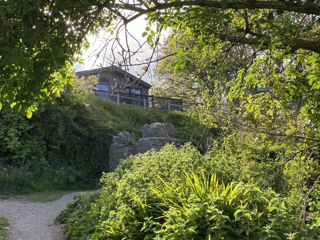 a house on the top of a hill with a path at Coastal View in Brixham