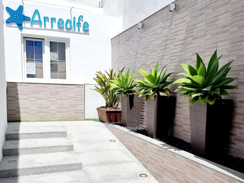 Fotografie z fotogalerie ubytování Apartamentos El Arrecife v destinaci Conil de la Frontera