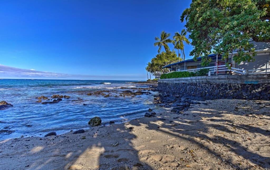 a beach with a house and palm trees and the ocean at YOUR HAWAIIAN TROPICAL GARDEN VIEW STUDIO - KONA ISLANDER INN CONDOS condo in Kailua-Kona