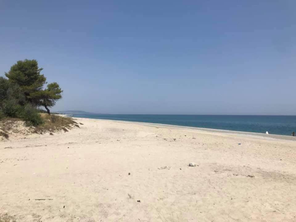an empty beach with a tree on the horizon at Casetta in Condoianni