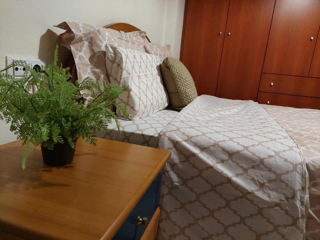 een slaapkamer met een bed en een tafel met een potplant bij Κλινάρι in Xanthi