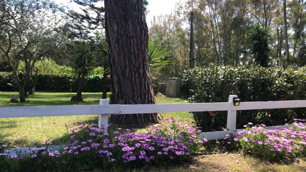 une clôture blanche à côté d'un arbre et de fleurs violettes dans l'établissement Casal Baratz, à Santa Maria la Palma