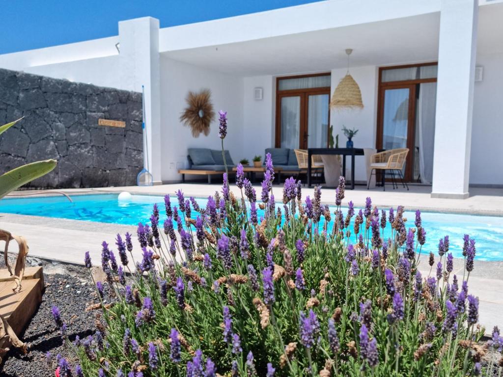 Villa Chinchorro