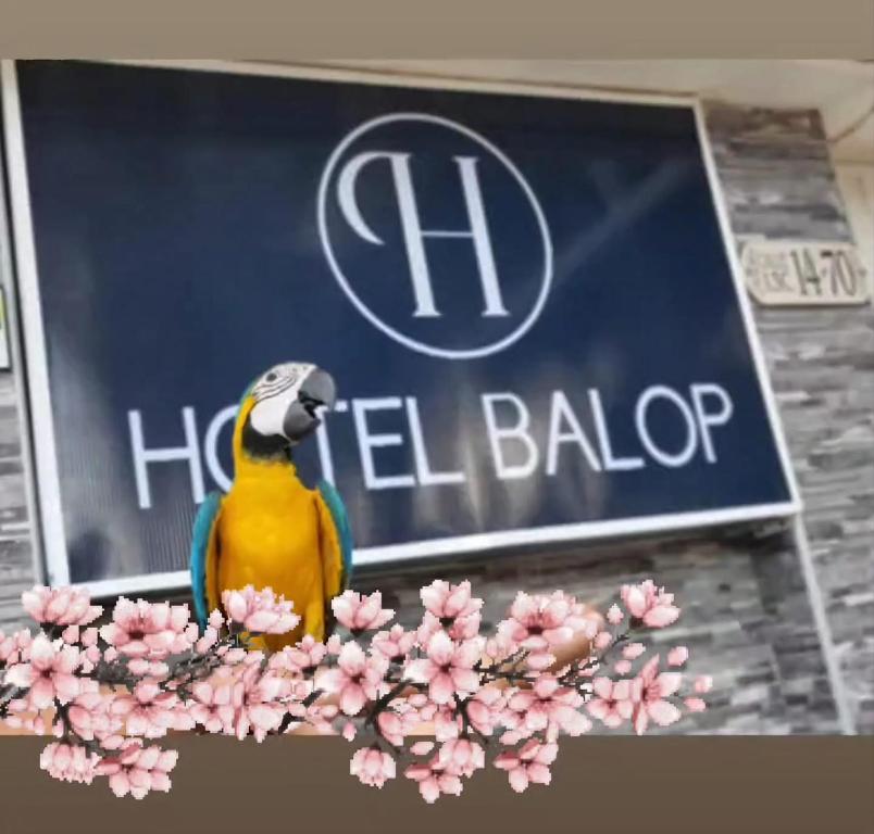 Certifikát, hodnocení, plakát nebo jiný dokument vystavený v ubytování BOUTIQUE HOTEL BALOP Valledupar