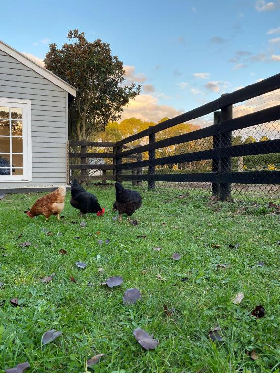 Farm Stay HARMONY Cottage at Wilindi Estate - Deluxe Villa