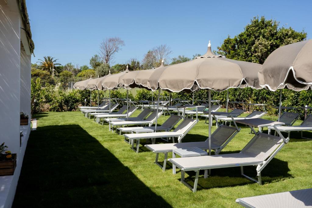 a row of lounge chairs with umbrellas on the grass at Cala Cala Rooms,Restaurant & Farm Experience in Procida