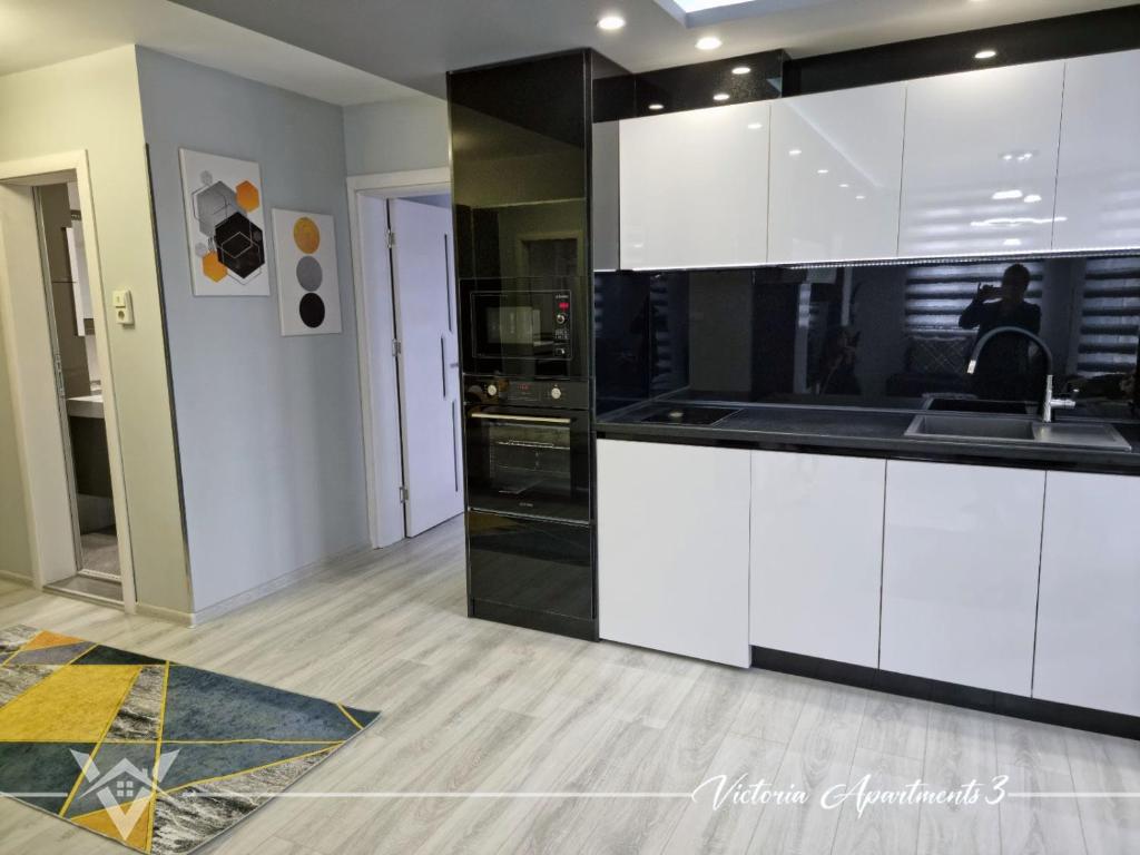 Kuchyň nebo kuchyňský kout v ubytování Victoria apartments 3