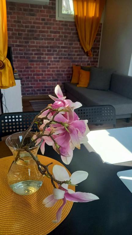 Domek Wilamów - Appartement D'une Chambre