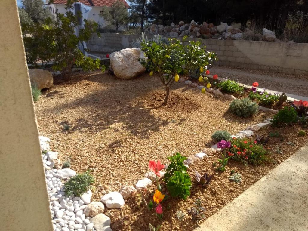Fotografia z galérie ubytovania Hvar Apartment v destinácii Zavala