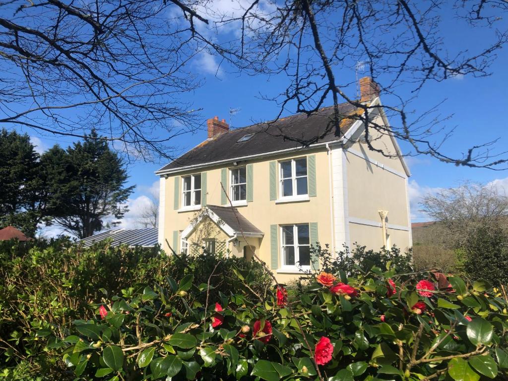 a white house with red roses in front of it at Giltar Grove Country House in Tenby