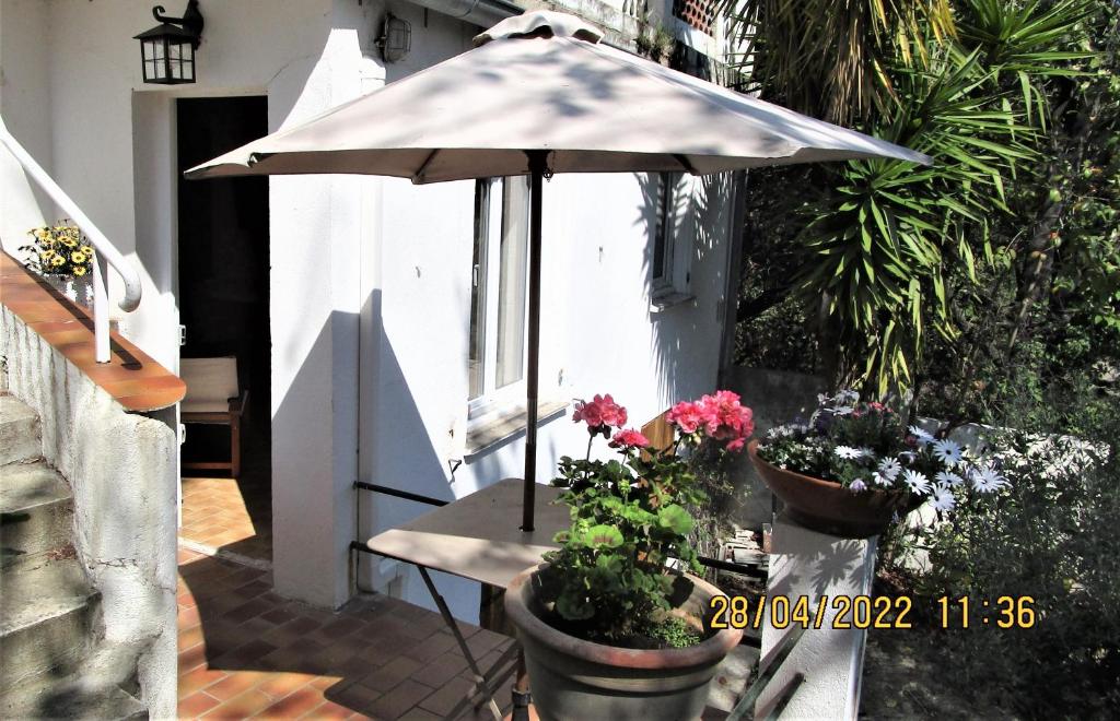 un ombrello seduto su un tavolo con piante in vaso di NICE - STUDIO indépendant en VILLA - Mer ville calme jardinet a Nizza