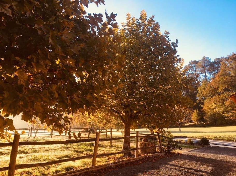 Les 4 Saisons: beau gîte au calme, forêt, proche A89 et Bergerac - Maison D'une Chambre