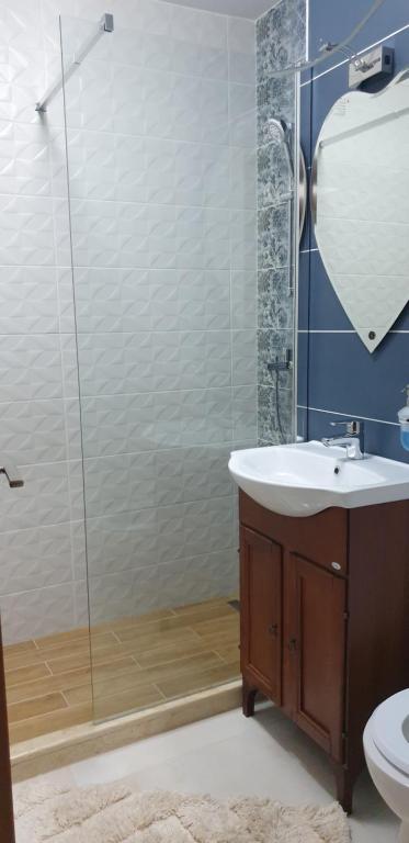 a bathroom with a sink and a glass shower at Laguna Apartament in Brăila