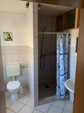 een badkamer met een douche, een toilet en een wastafel bij Ferienpark Buntspecht Apartment 1 in Pruchten