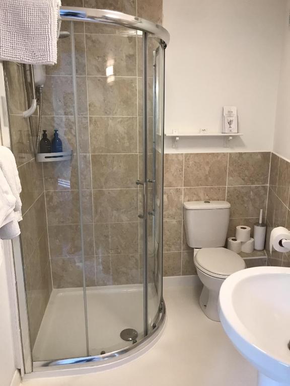 a bathroom with a shower and a toilet and a sink at Cornerways in Ventnor