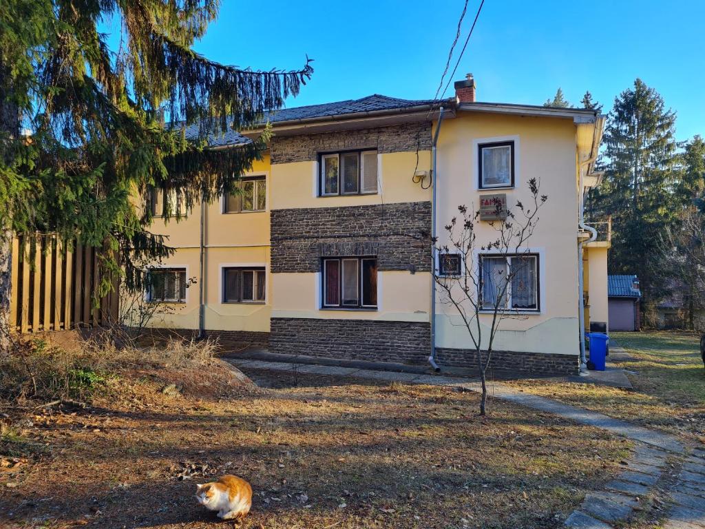 a cat laying in front of a house at Dolgozói szállás, Munkásszállás Gyöngyös in Gyöngyös