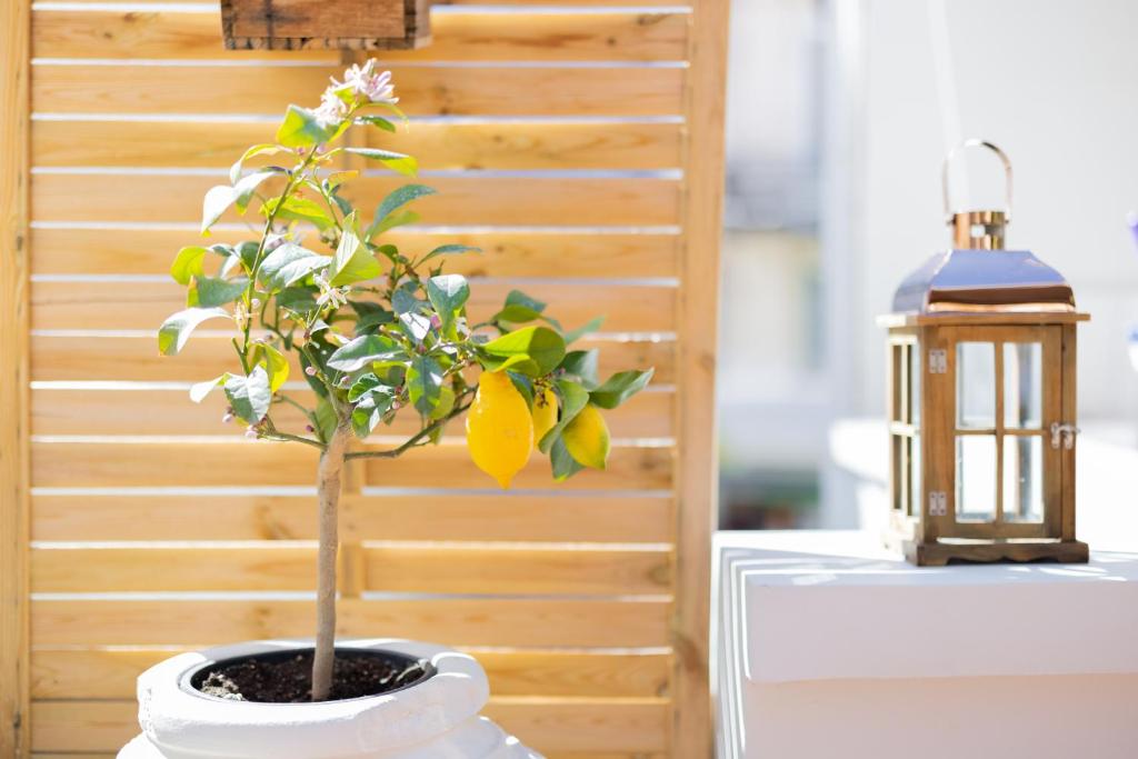 999 Luxury Hotel - Resim 18