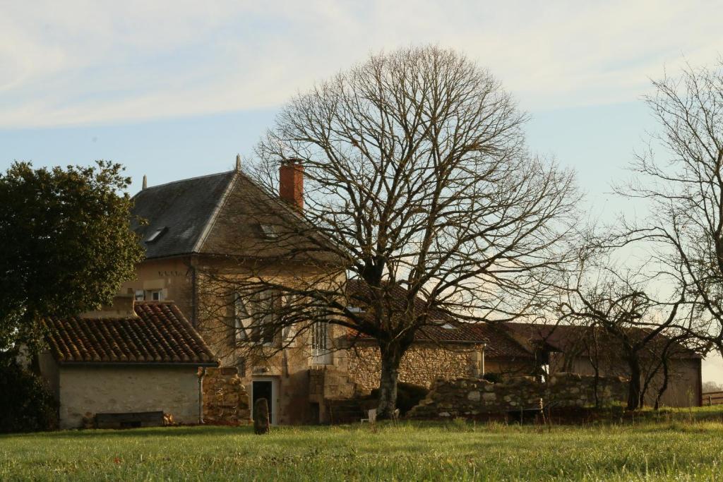 una vieja casa de piedra con un árbol en un campo en Logis des Brousses, en Lhommaizé