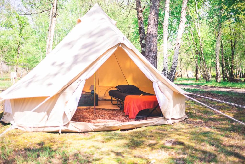 Fotografie z fotogalerie ubytování Le repère du pin sec - Glamping & Surfcamp v destinaci Naujac-sur-Mer