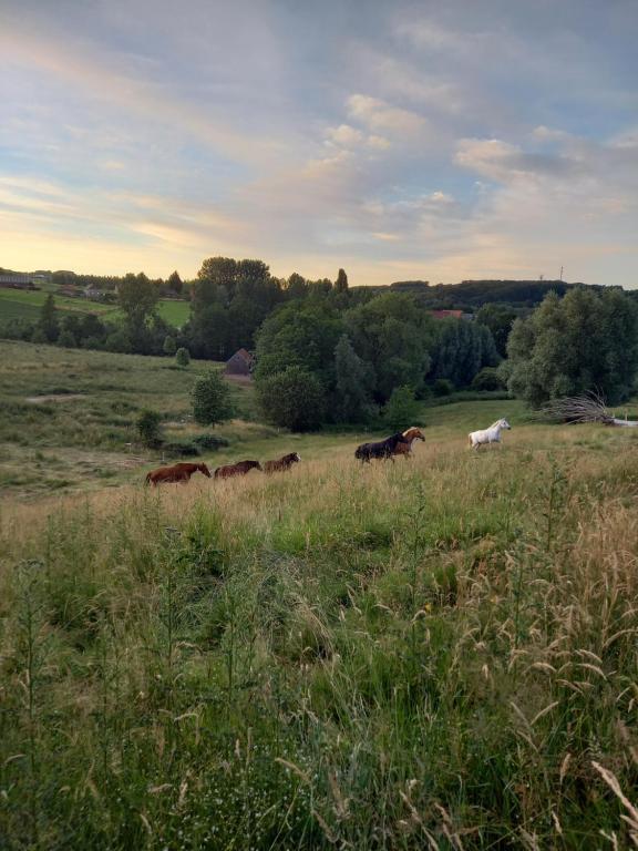 Paesaggio naturale nelle vicinanze della casa vacanze