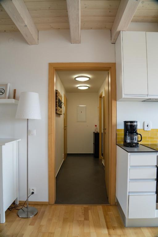 Kuchyň nebo kuchyňský kout v ubytování Stylový apartmán č. 8 U Venuše, Pavlov u Mikulova
