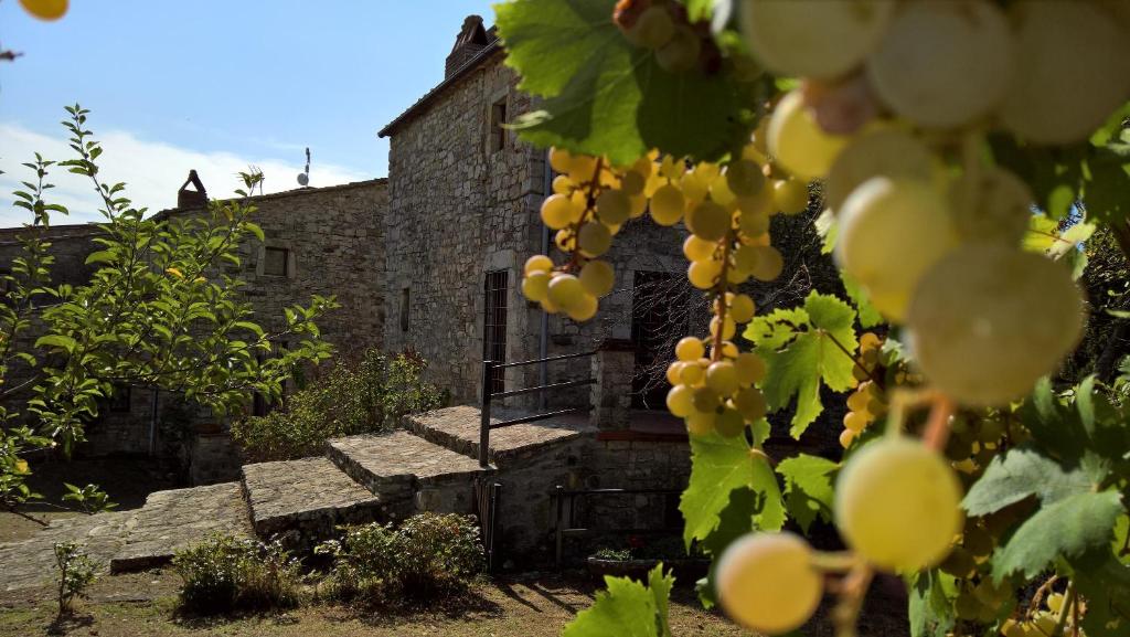 Ogród w obiekcie Castello di Monteluco a Lecchi
