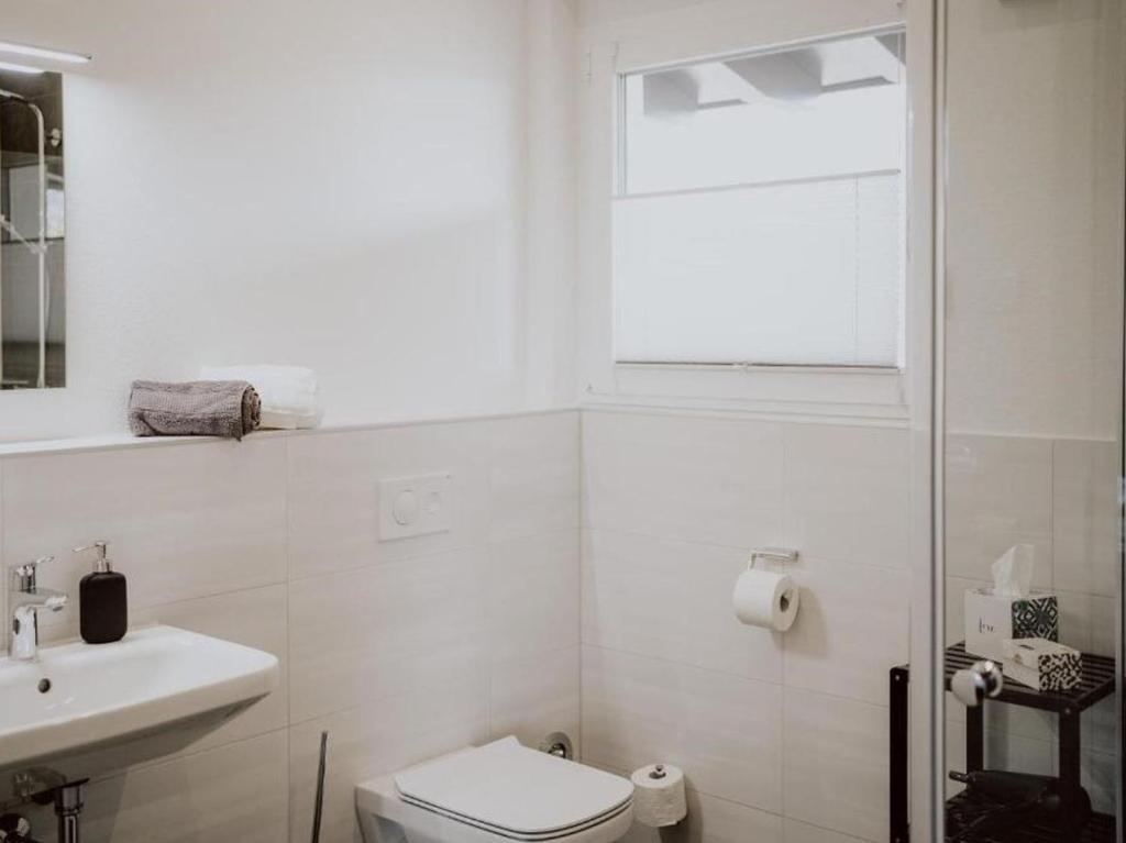 Rheinzeit-Weisweil - 7