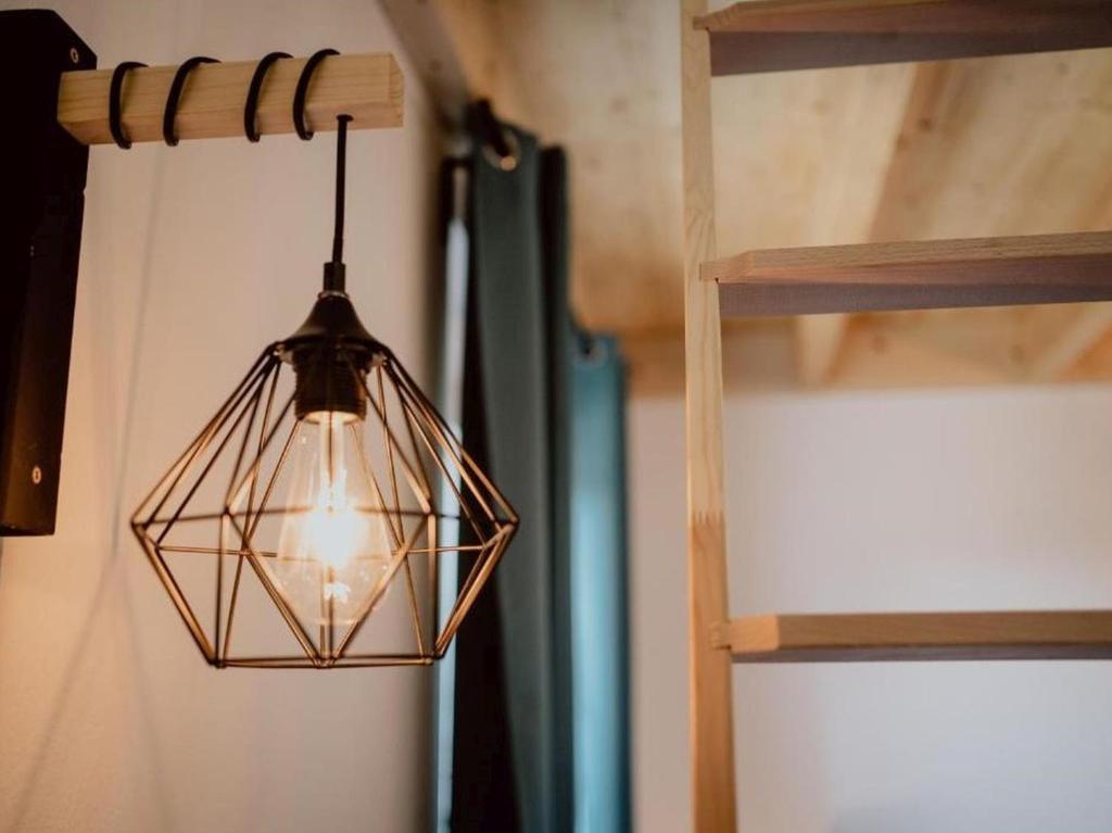 Rheinzeit-Weisweil - 9