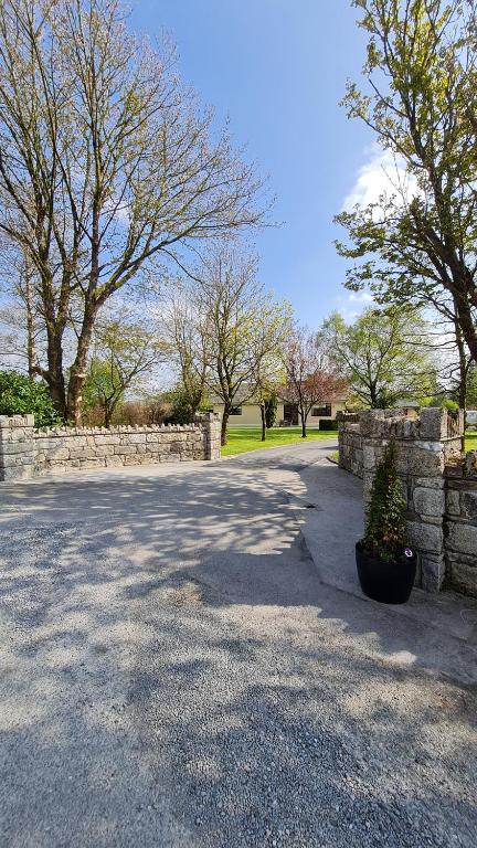 a driveway with a stone wall and a tree at Yellow Heights Country House in Tinahely