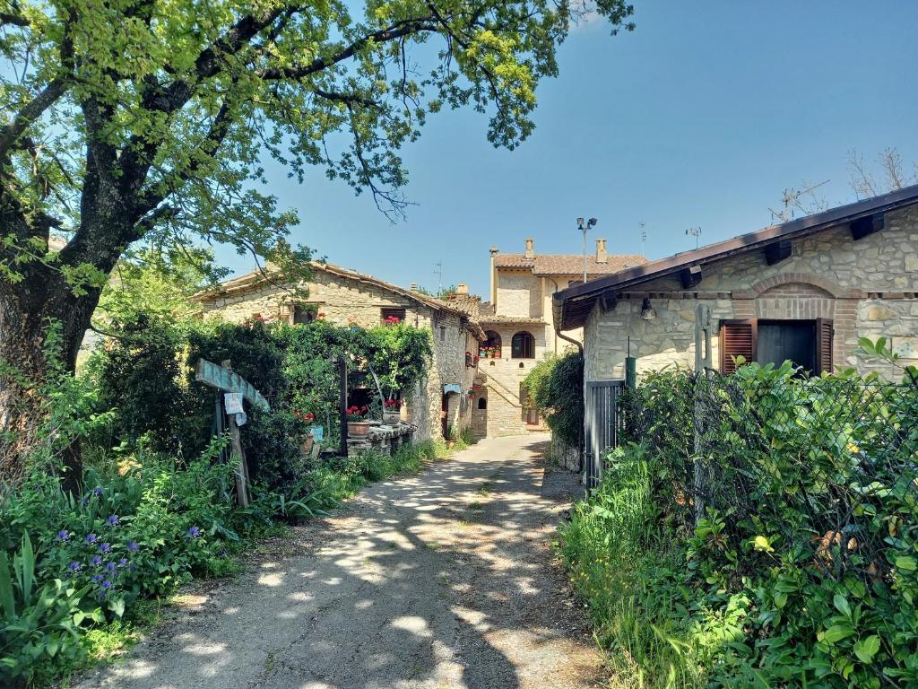 Vonkajšia záhrada v ubytovaní B&B TorreMatta