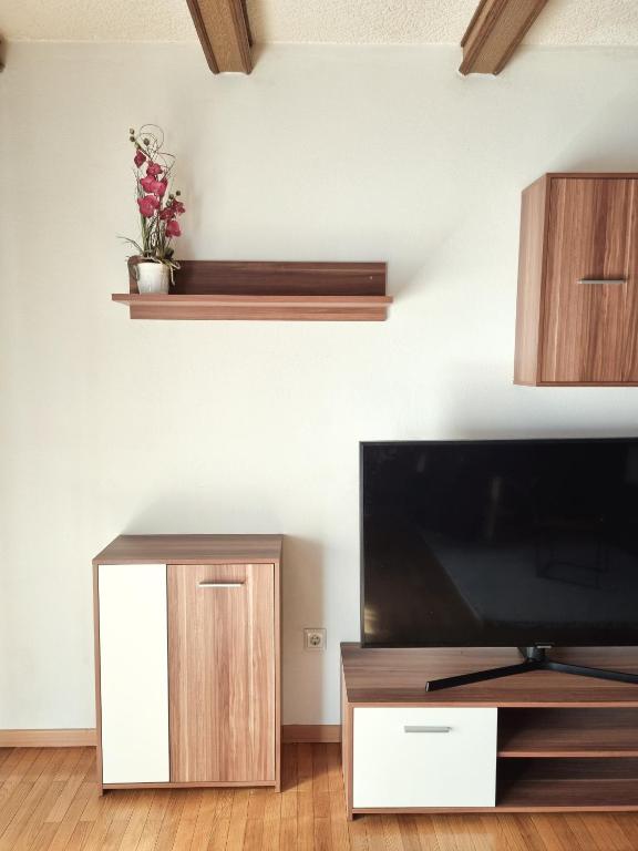 TV a/nebo společenská místnost v ubytování Apartment Burger